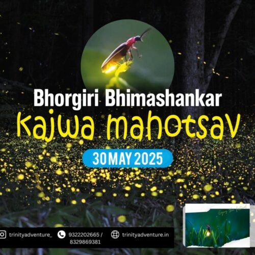 Bhimashankar Bhorgiri Night Trek with Fireflies