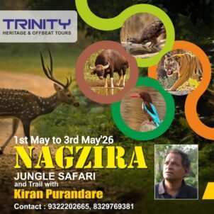 Nagzira Safari