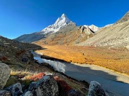 Gaumukh Tapovan - Image 2