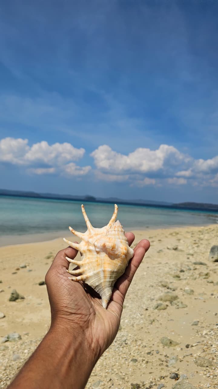 UNTOUCHED & OFFBEAT ANDAMAN - Image 7
