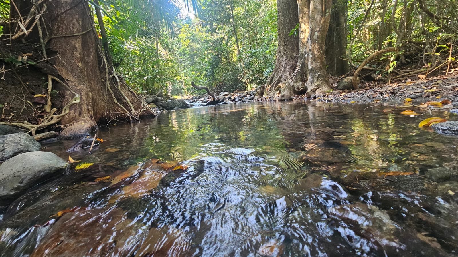 UNTOUCHED & OFFBEAT ANDAMAN - Image 6